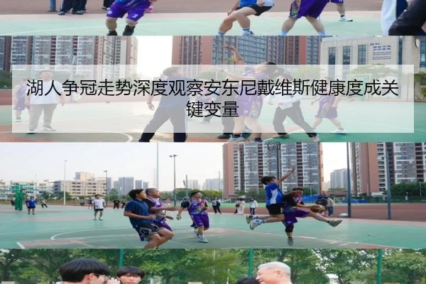 湖人争冠走势深度观察安东尼戴维斯健康度成关键变量